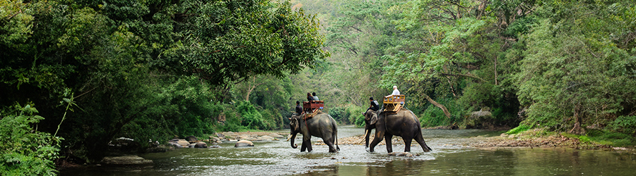 Best travel agent and tour companies operators in Bangkok Thailand